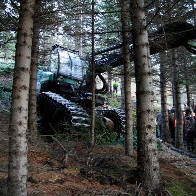 skogarhoggsvel-a-stalpastodum-16