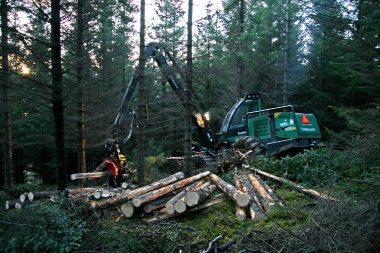 Skógarhöggsvél á Stálpastöðum