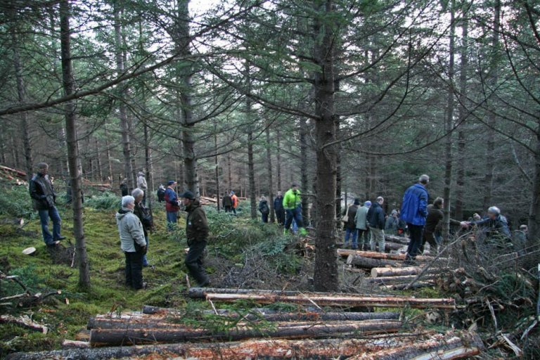 Skógarhöggsvél á Stálpastöðum