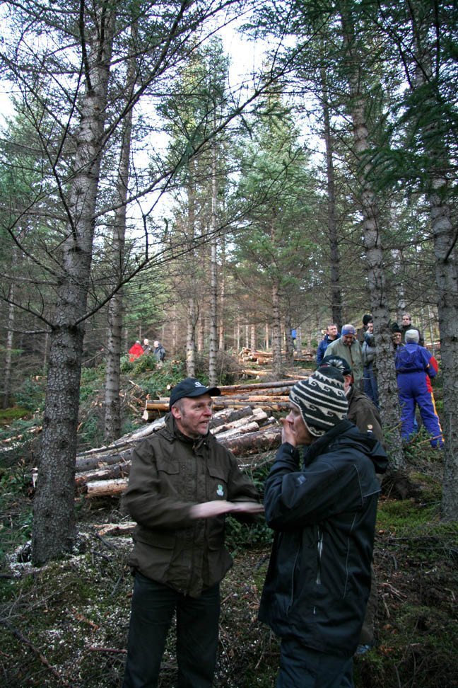Skógarhöggsvél á Stálpastöðum