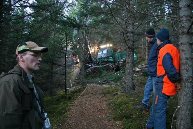 Skógarhöggsvél á Stálpastöðum