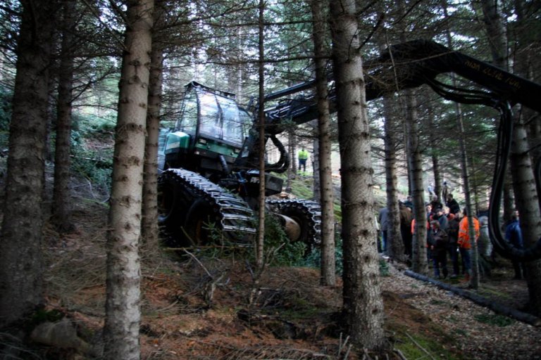 Skógarhöggsvél á Stálpastöðum