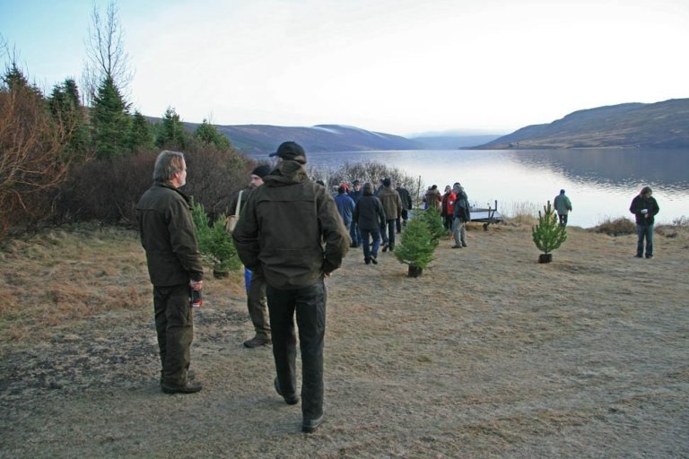 Skógarhöggsvél á Stálpastöðum