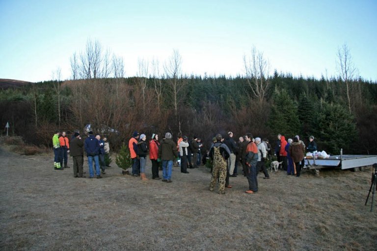 Skógarhöggsvél á Stálpastöðum