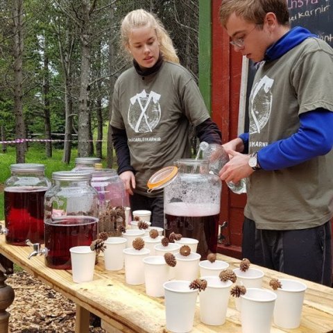 Ljúffengur berjasafi blandaður fyrir hátíðargesti. Ljósmynd: Hreinn Óskarsson