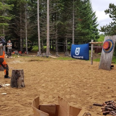 Axarkast. Ljósmynd: Hreinn Óskarsson