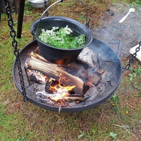 Jurtir úr skóginum hitaðar yfir eldinum til litunar. Ljósmynd: Hreinn Óskarsson