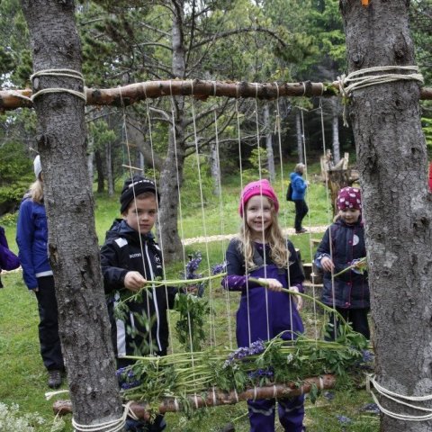 Nýstárlegur vefstóll þar sem ofið er úr lúpínu. Ljósmynd: Guðfinna Mjöll Magnúsdóttir