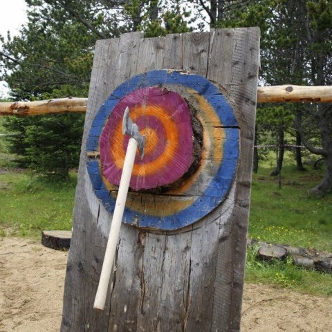 Beint í mark í axarkasti! Sigurvegari í greininni var arboristinn Orri Freyr Finnbogason. Ljósmynd: Guðfinna Mjöll Magnúsdóttir