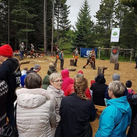 Skógarhöggskeppnin í fullum gangi. Ljósmynd: Hreinn Óskarsson