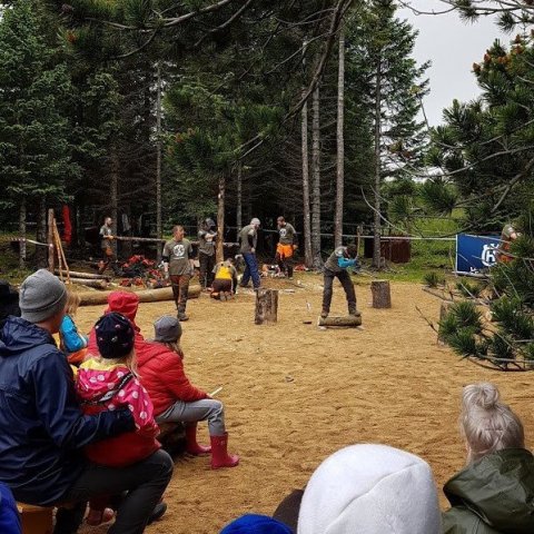 Skógarhöggskeppnin í fullum gangi. Ljósmynd: Hreinn Óskarsson