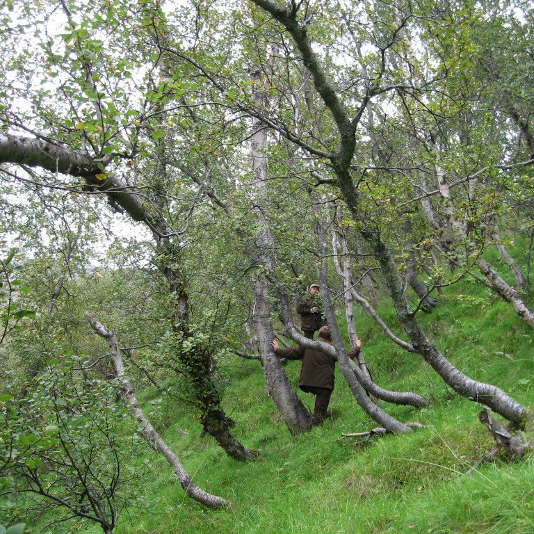 (mynd: Sigurður Skúlason)