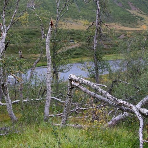 Séð yfir Fnjóská. Ljósmynd: Pétur Halldórsson