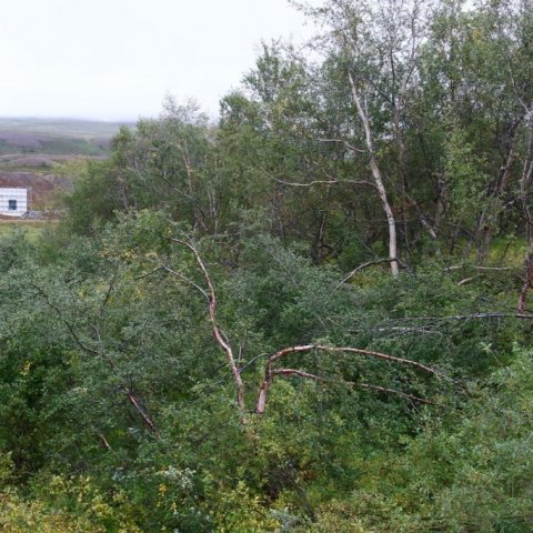Séð yfir til stöðvarhúss nýrrar Hólsvirkjunar í Dalsmynni. Ljósmynd: Pétur Halldórsson