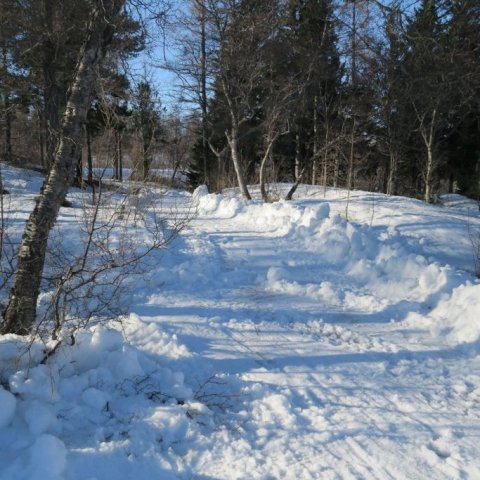 Munið bara að hafa í heiðri tveggja metra regluna. Ljósmynd: Bergrún Arna Þorsteinsdóttir