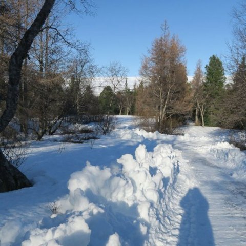 Horft niður í átt að Mörkinni. Ljósmynd: Bergrún Arna Þorsteinsdóttir