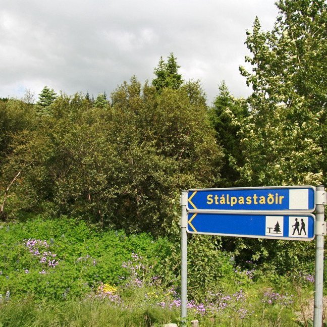 (mynd: Esther Ösp Gunnarsdóttir)