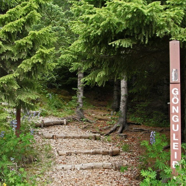 (mynd: Esther Ösp Gunnarsdóttir)