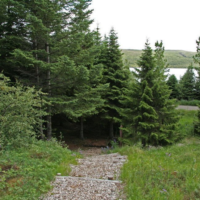 (mynd: Esther Ösp Gunnarsdóttir)