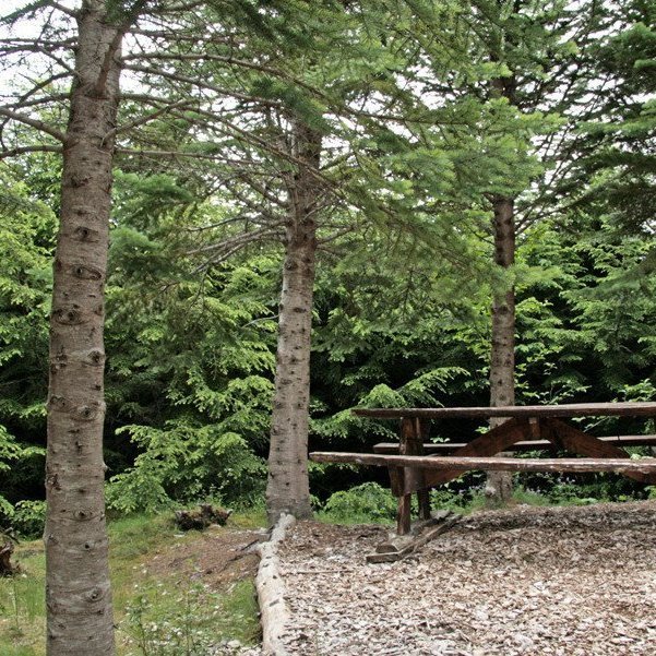 (mynd: Esther Ösp Gunnarsdóttir)