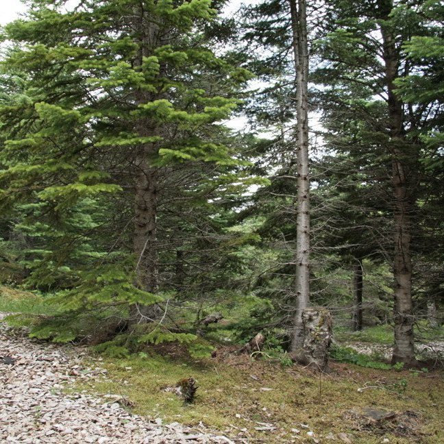 (mynd: Esther Ösp Gunnarsdóttir)