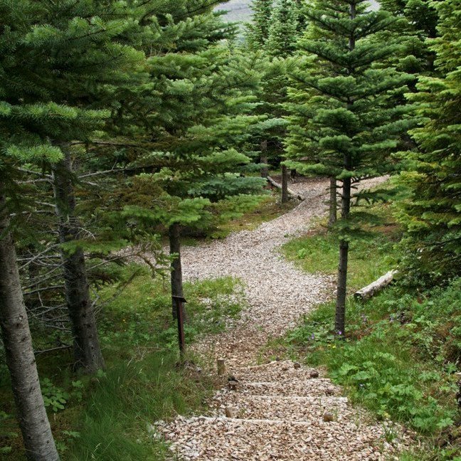 (mynd: Esther Ösp Gunnarsdóttir)