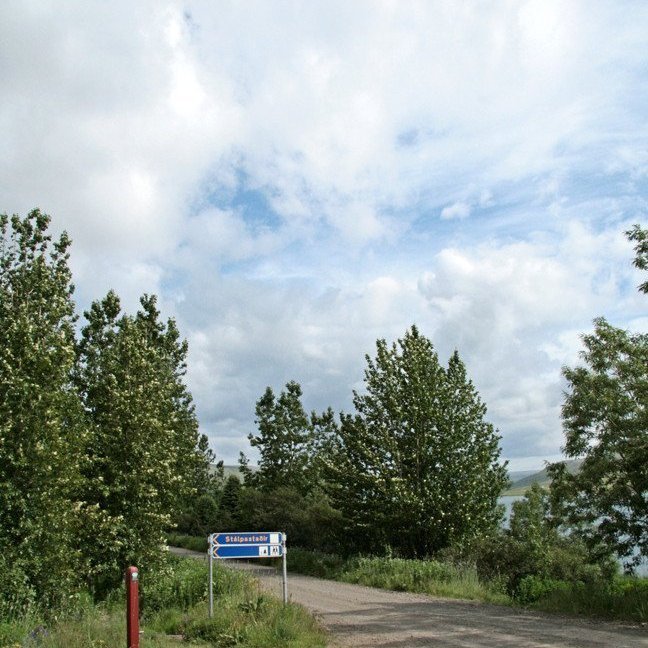 (mynd: Esther Ösp Gunnarsdóttir)