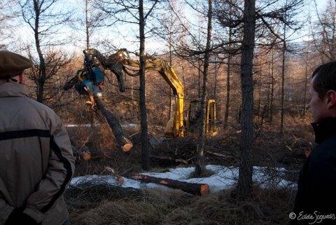 Starfsmannafundur: Grisjun á Teigabóli