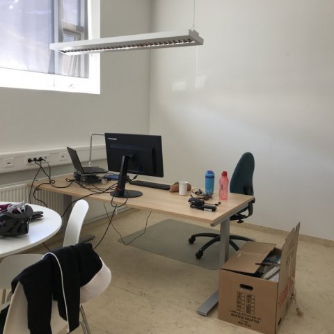 Úr skrifstofu Skógræktarinnar í Vestrahúsinu. Ljósmynd: Sigríður Júlía Brynleifsdóttir