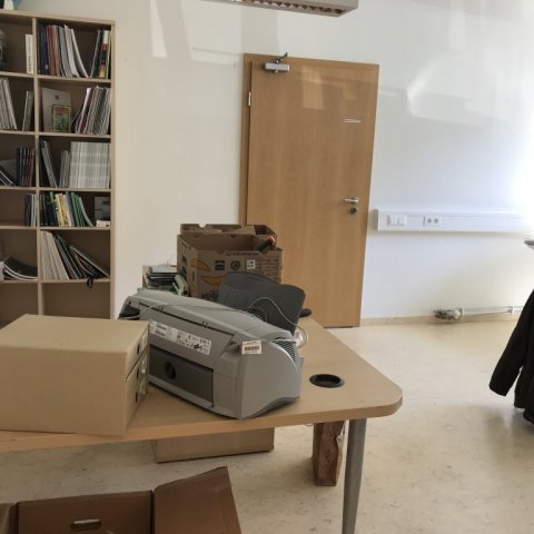 Úr skrifstofu Skógræktarinnar í Vestrahúsinu. Ljósmynd: Sigríður Júlía Brynleifsdóttir