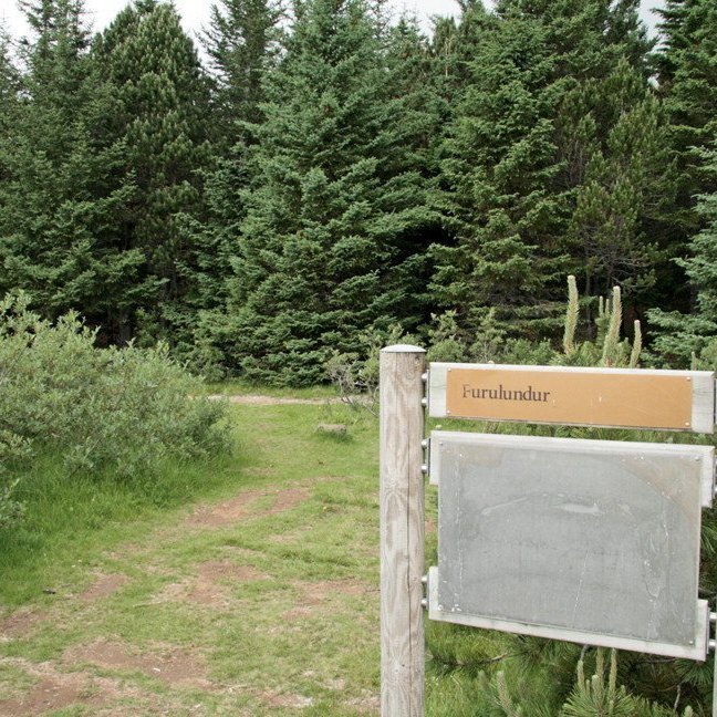 (mynd: Esther Ösp Gunnarsdóttir)