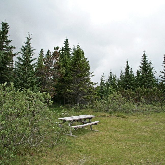 (mynd: Esther Ösp Gunnarsdóttir)