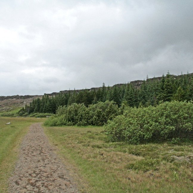 (mynd: Esther Ösp Gunnarsdóttir)