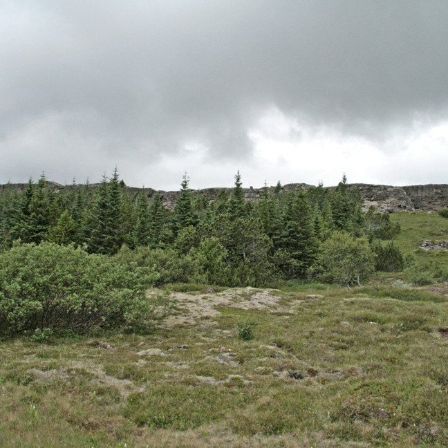 (mynd: Esther Ösp Gunnarsdóttir)