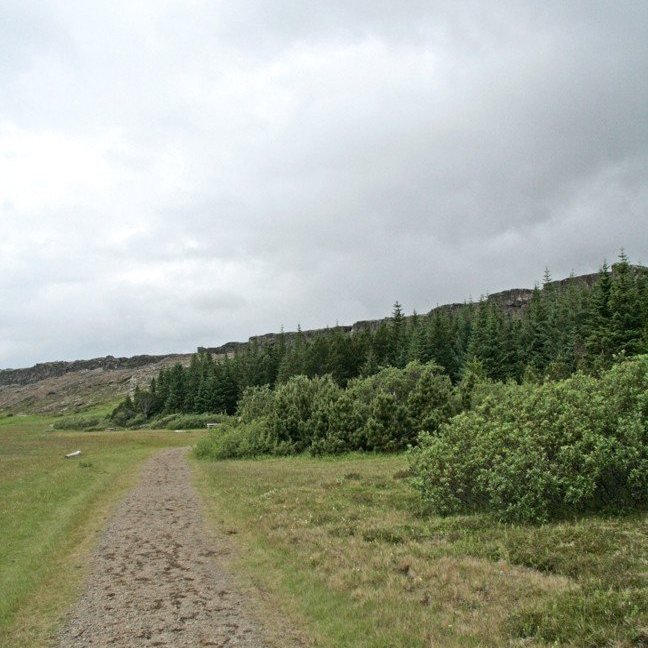 (mynd: Esther Ösp Gunnarsdóttir)