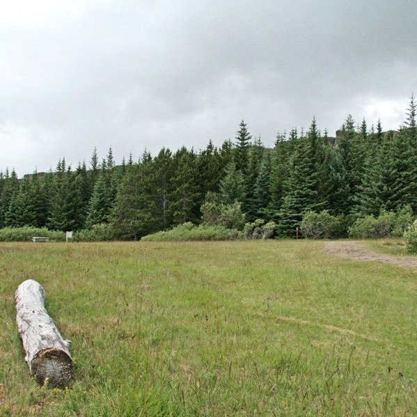 (mynd: Esther Ösp Gunnarsdóttir)