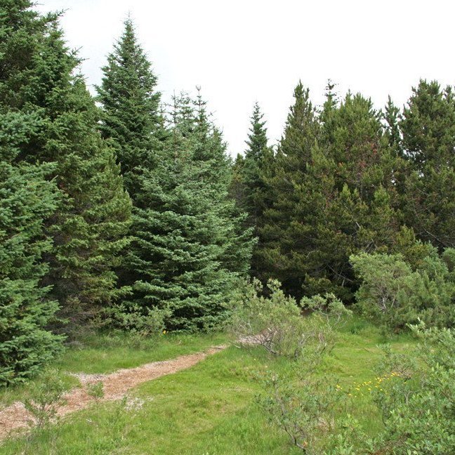 (mynd: Esther Ösp Gunnarsdóttir)