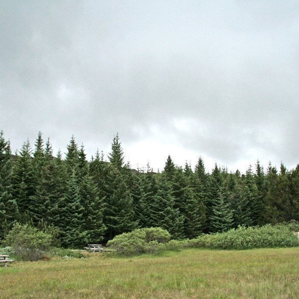 (mynd: Esther Ösp Gunnarsdóttir)