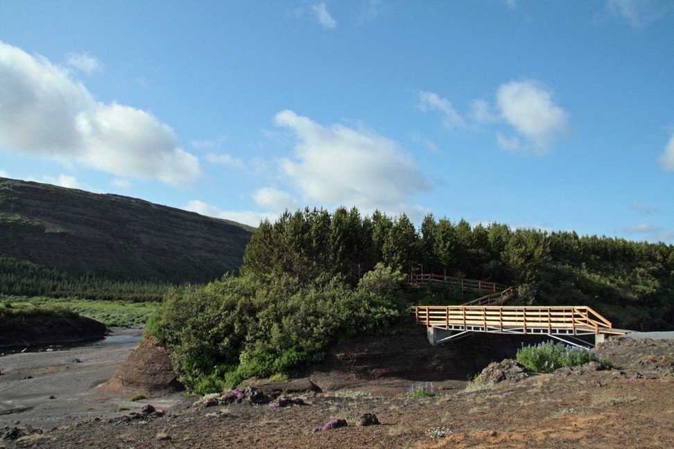 Aðkoman að skóginum í Þjórsárdal.