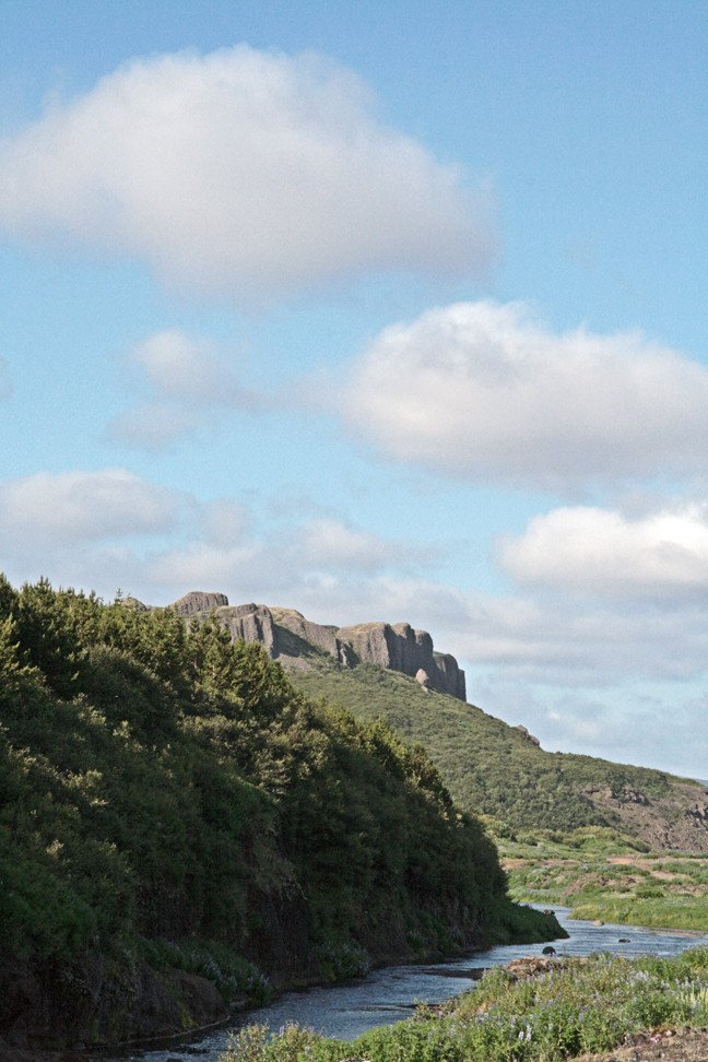 Skógurinn í Þjórsárdal.