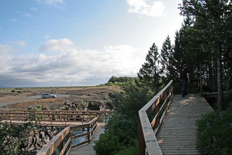 Við aðkomuna í skóginn í Þjórsárdal.