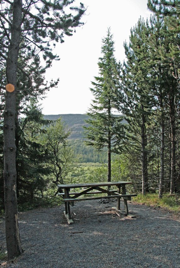 Áningarstaður í skóginum í Þjórsárdal.