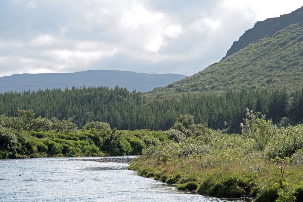 Á árbakknum í Þjórsárdal.