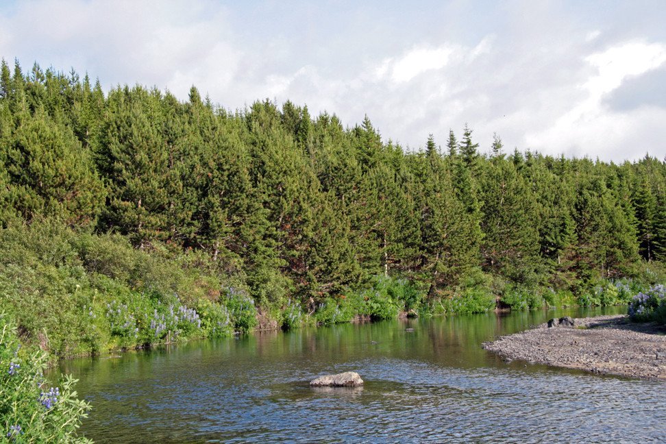 Á árbakkanum í Þjórsárdal.