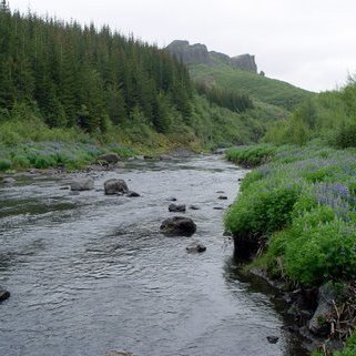 (mynd: Hreinn Óskarsson)