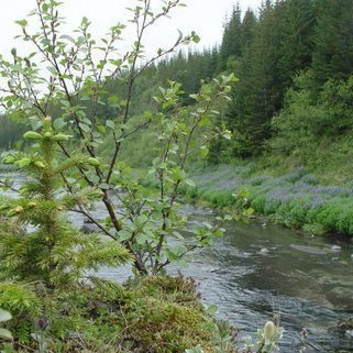 (mynd: Hreinn Óskarsson)