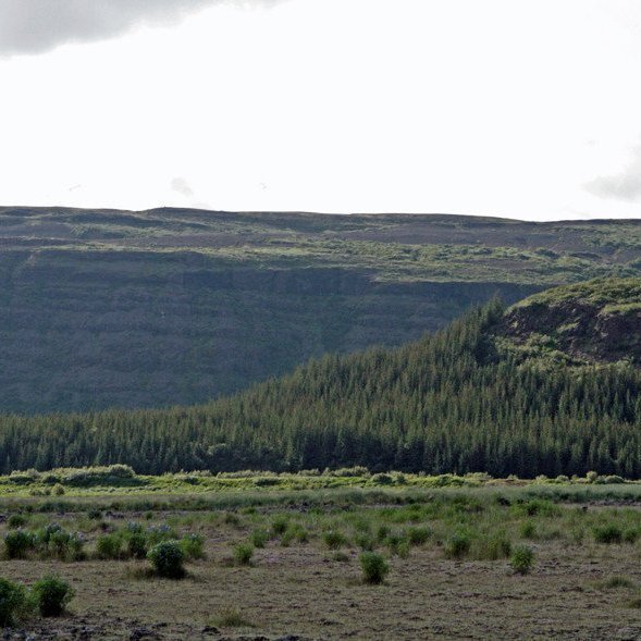 (mynd: Esther Ösp Gunnarsdóttir)