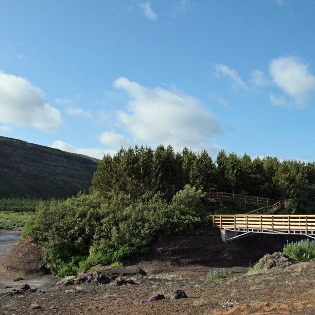 (mynd: Esther Ösp Gunnarsdóttir)