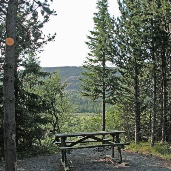 (mynd: Esther Ösp Gunnarsdóttir)