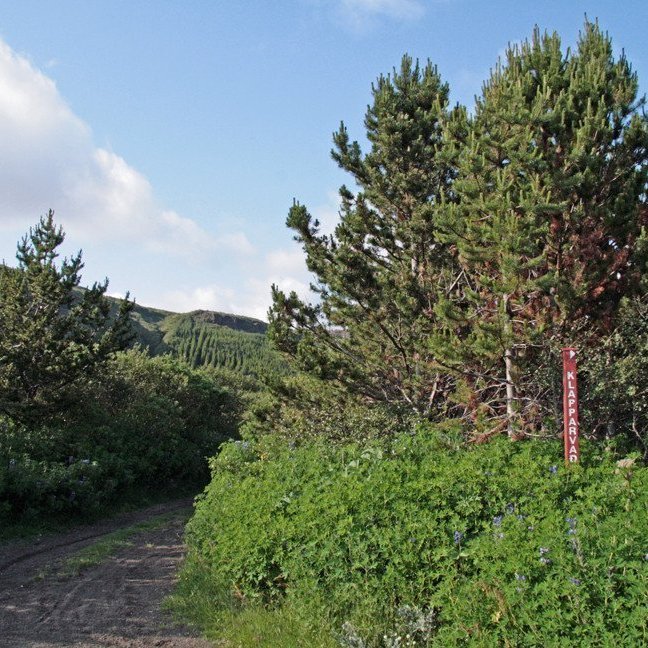 (mynd: Esther Ösp Gunnarsdóttir)